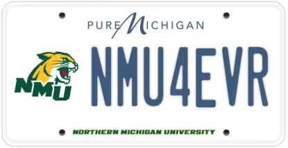 license plate example