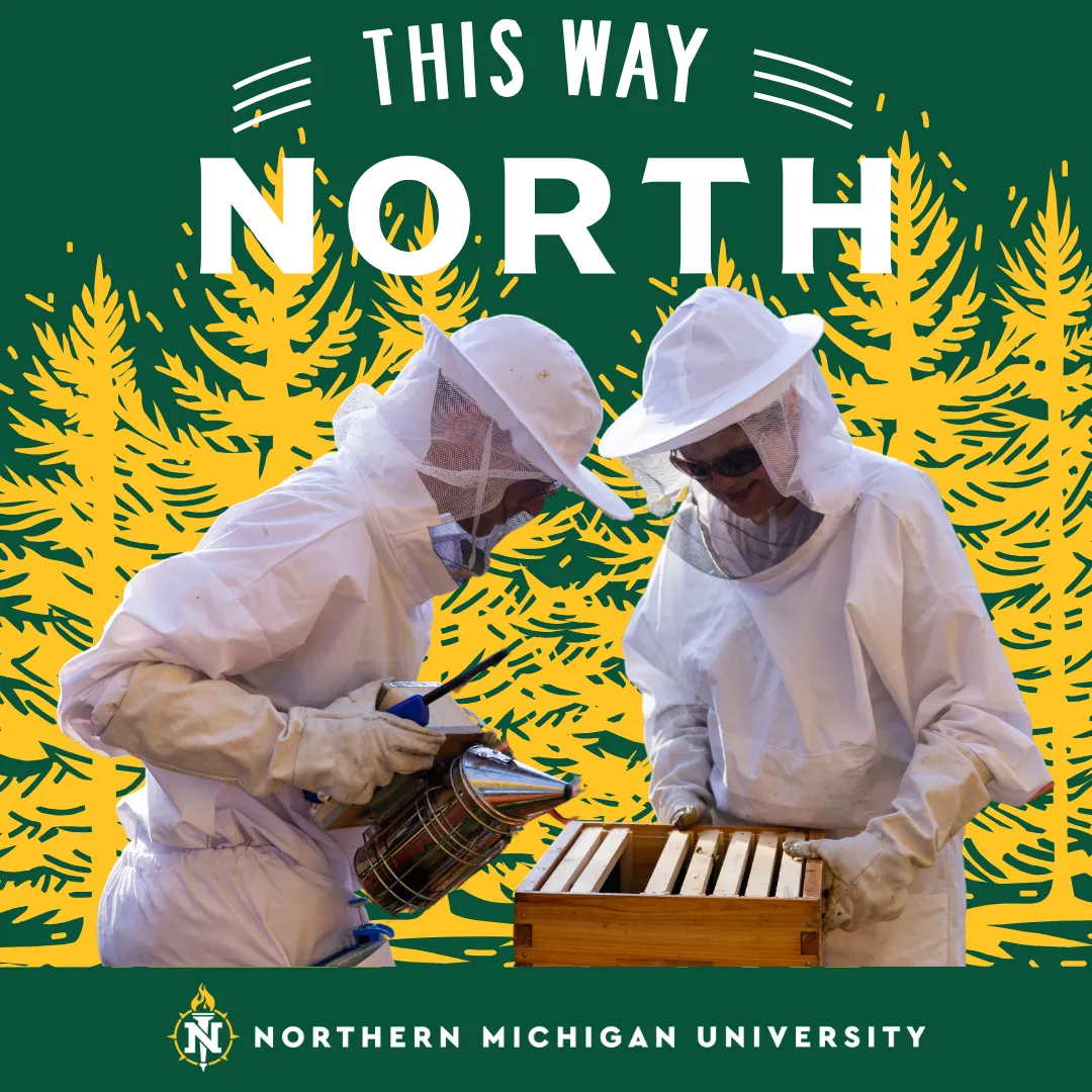 This Way North beekeeping digital ad